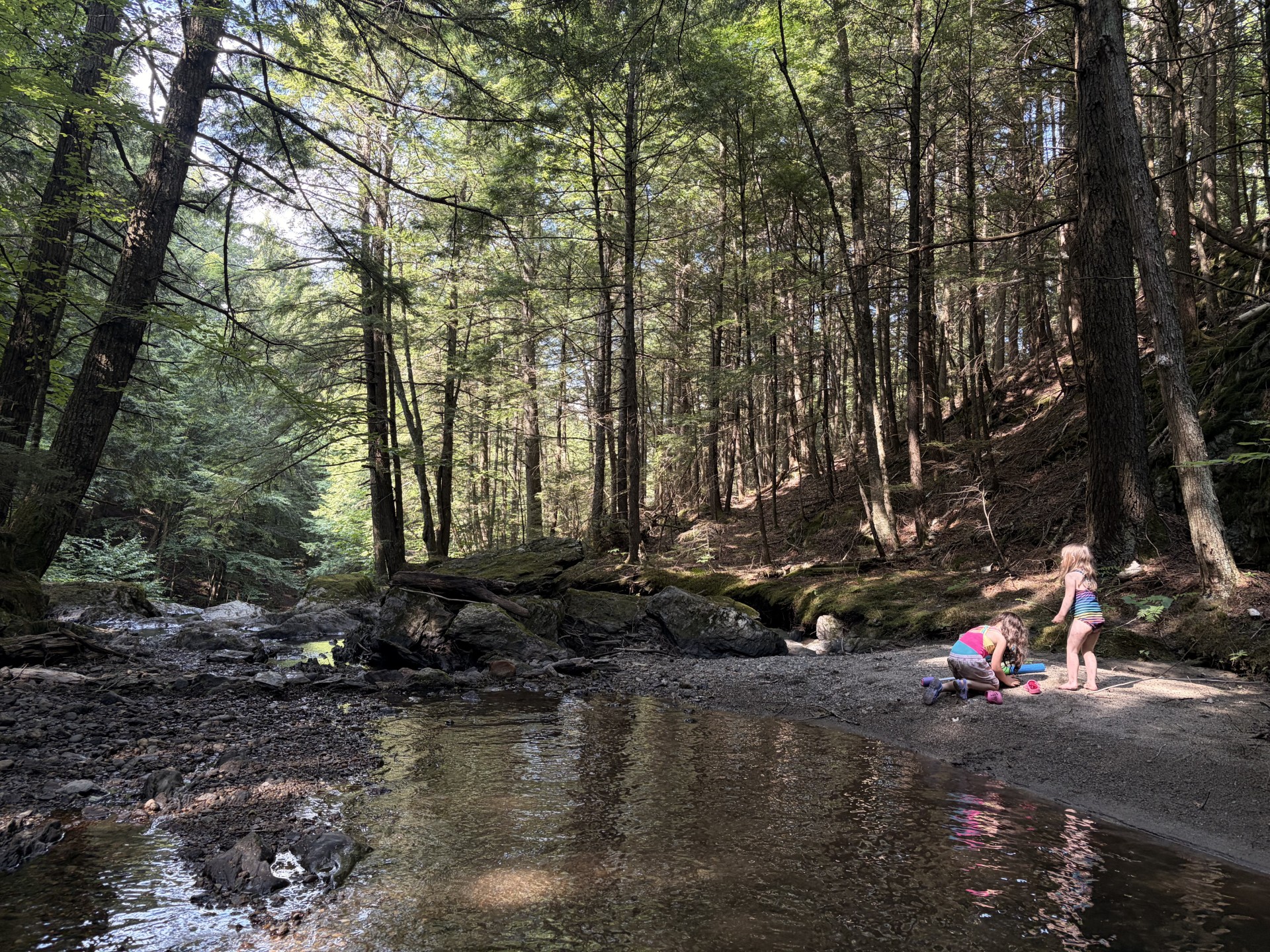 Image of kids playing by a river in the woods